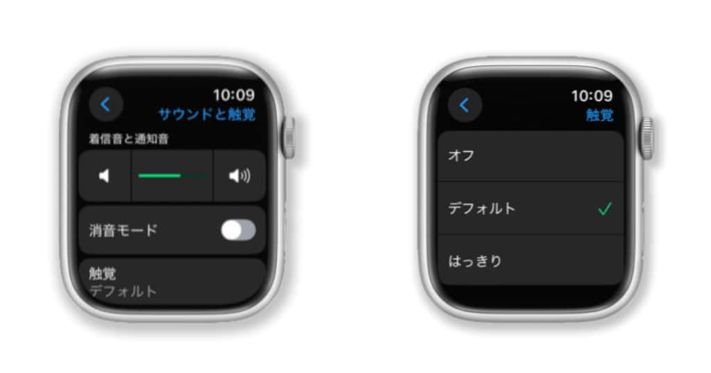 Apple Watch の音声と触覚による通知を管理する